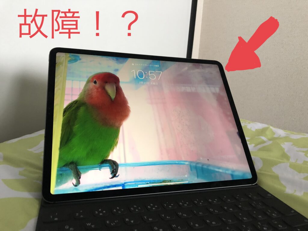 【問題発生】愛用しているiPad Proが充電を受け付けなくなった→直った