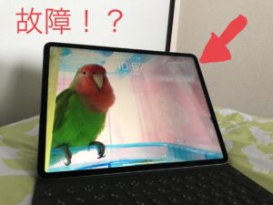 Read more about the article 【問題発生】愛用しているiPad Proが充電を受け付けなくなった→直った