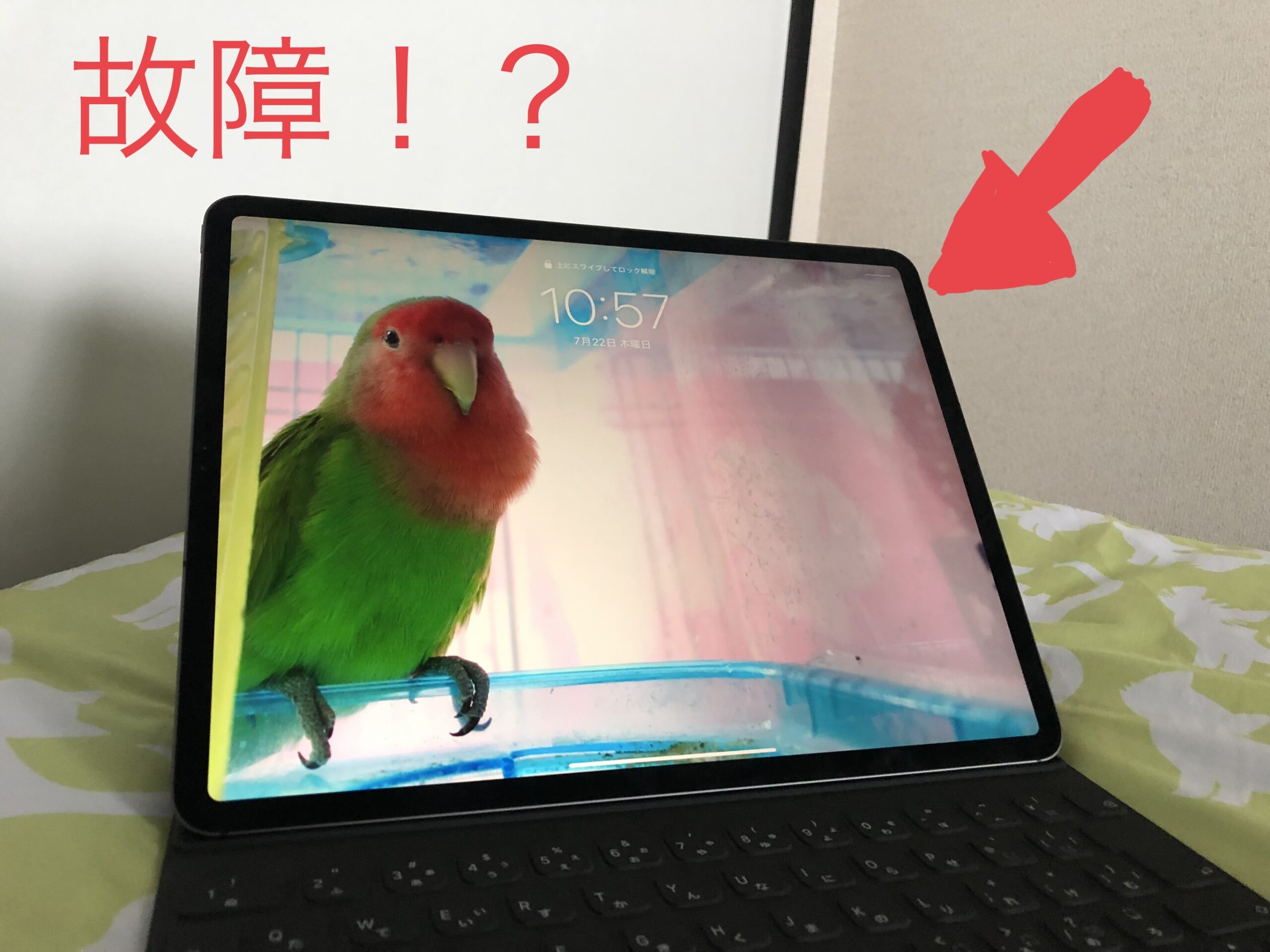 You are currently viewing 【問題発生】愛用しているiPad Proが充電を受け付けなくなった→直った