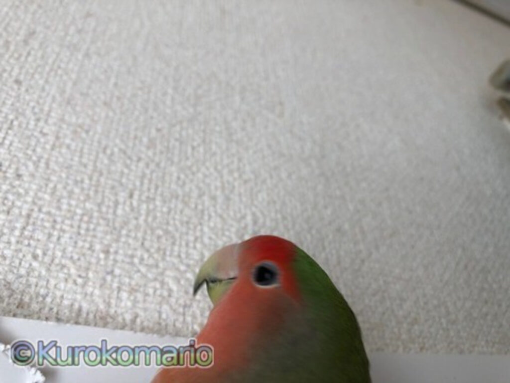 カジりたいんだなぁ