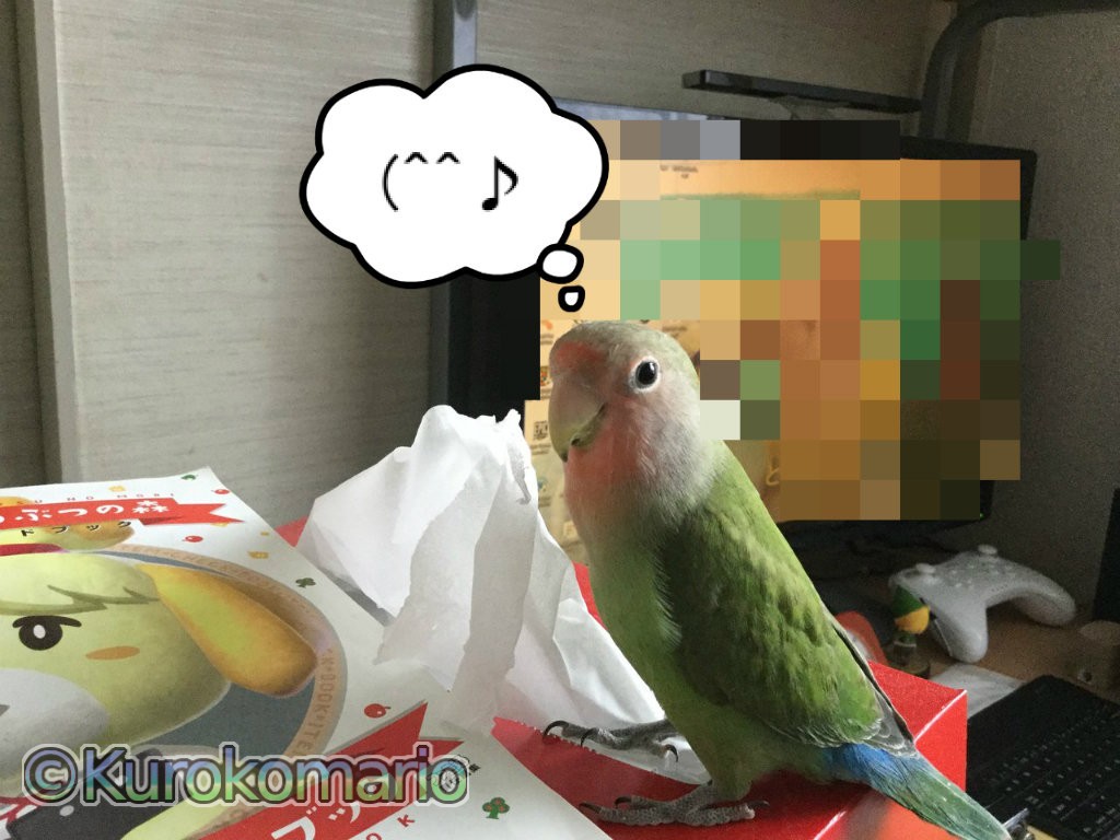 You are currently viewing コザクラインコのちゃちゃ